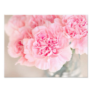 Rosa Carnations Fototryck