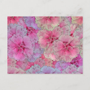 Rosa Carnations i vintage stil Vykort