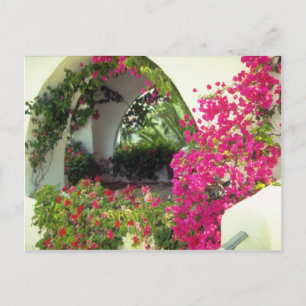 Rosa Casas bilhamn, Moraira, Costa Blanca-blommor Vykort