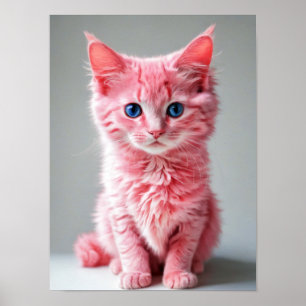Rosa Cat Poster