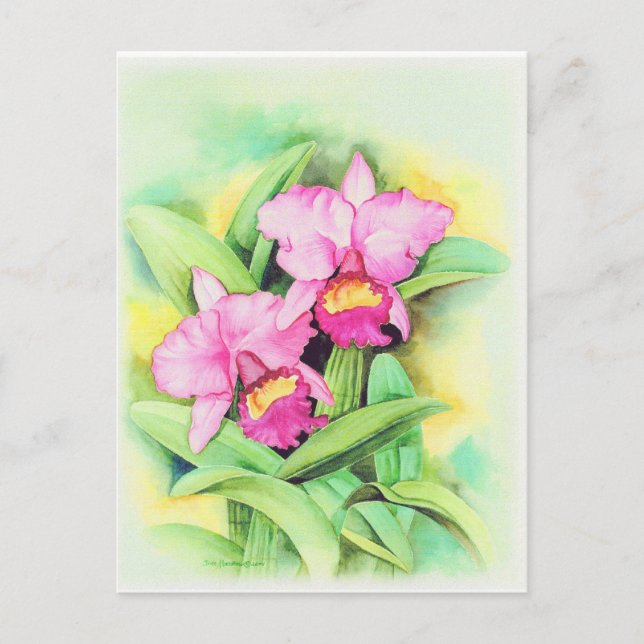 Rosa Catleya Orchid Flower Art - Multi Vykort (Framsida)