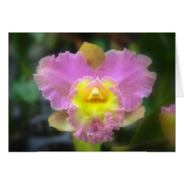 Rosa Cattleya Orchid Card Hälsningskort