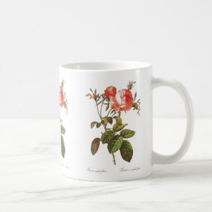 Rosa Centifolia Foliacea Kaffemugg