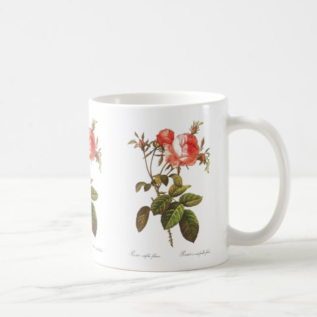 Rosa Centifolia Foliacea Kaffemugg (Höger)