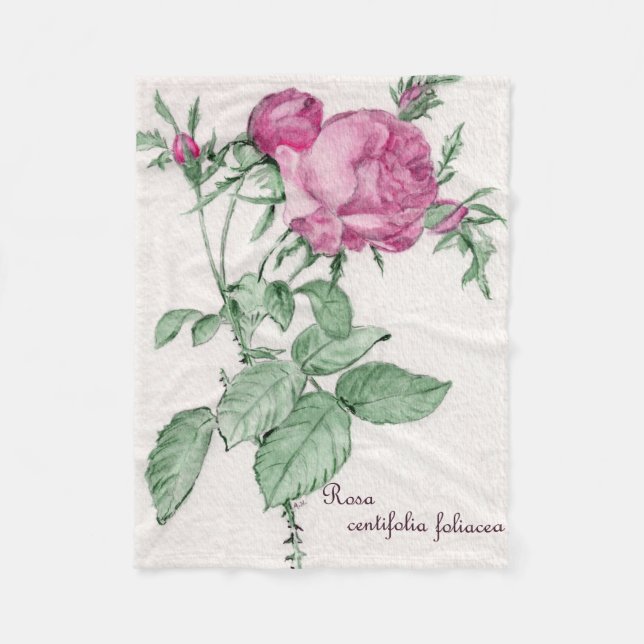 Rosa Centifolia Foliacea Throw Blanket Fleecefilt (Framsidan)