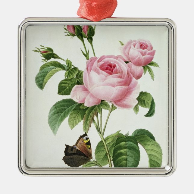 Rosa Centifolia Julgransprydnad Metall (Framsidan)