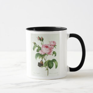 Rosa Centifolia Mugg