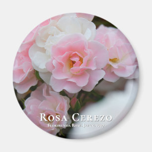 Rosa Cerezo マ グ ネ ッ ト Magnet