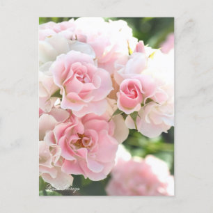 Rosa Cerezo:Postcard_ver.2.0 Vykort