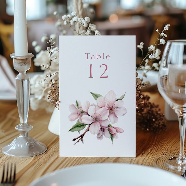 Rosa cherry blommar-blomma Bordsnummer bord-tecken (Gentle Pastel Pink Cherry Blossom Table Number Cards. )
