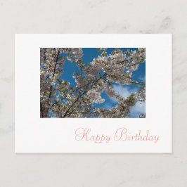 rosa cherry blommar blommor grattis på födelsedage vykort