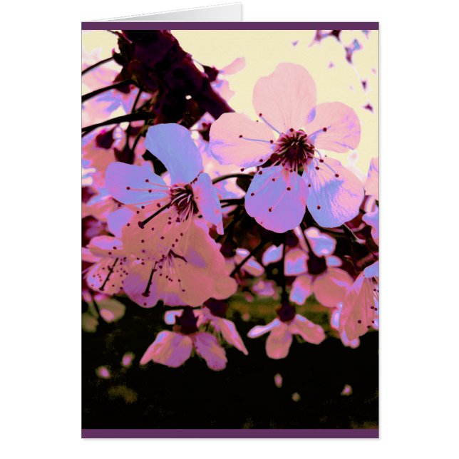 Rosa Cherry Blommar Hälsningskort (Framsidan)