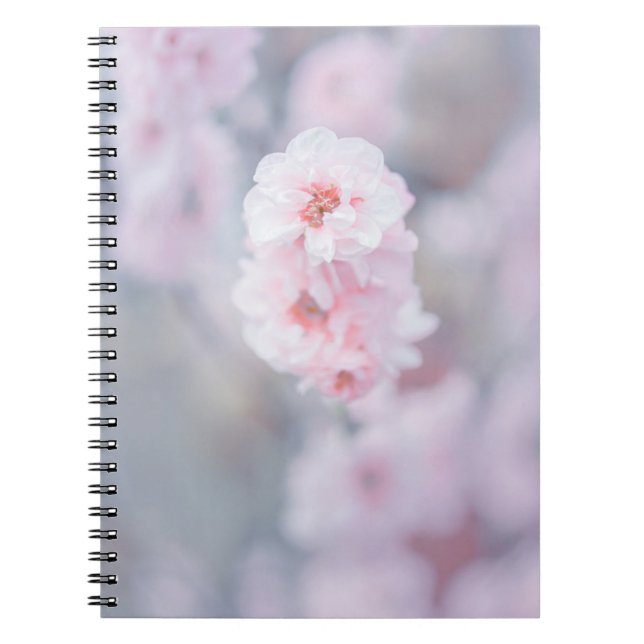 ROSA CHERRY-BLOMMAR I STÄNG FOTOGRAFI ANTECKNINGSBOK (Framsidan)