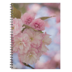 ROSA CHERRY-BLOMMAR I STÄNG FOTOGRAFI ANTECKNINGSBOK