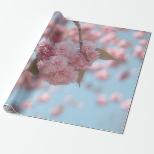 ROSA CHERRY-BLOMMAR I STÄNG FOTOGRAFI PRESENTPAPPER