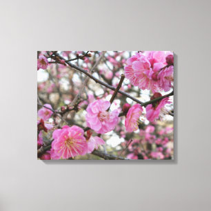 Rosa Cherry Blommar / Sakura / サ ク ラ(桜) Canvastryck