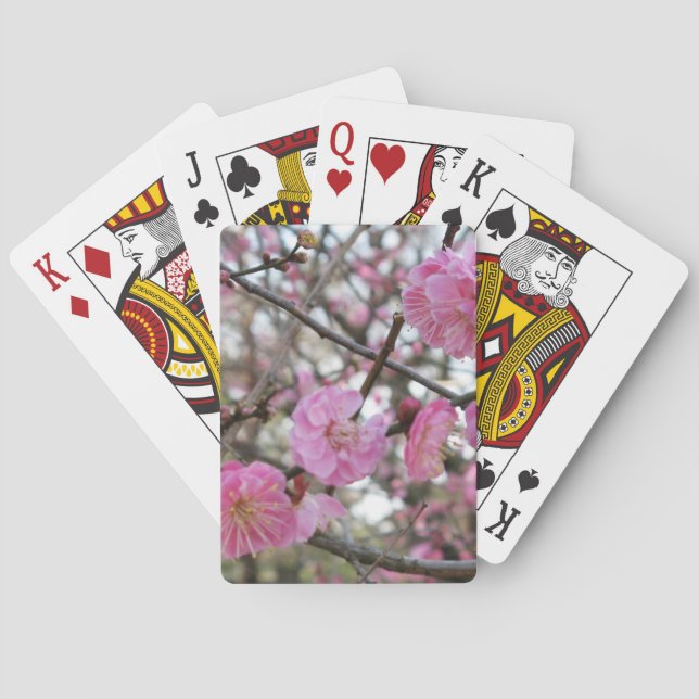 Rosa Cherry Blommar / Sakura / サ ク ラ(桜) Casinokort (Baksidan)