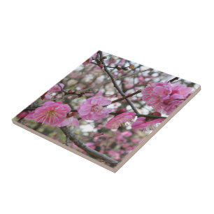Rosa Cherry Blommar / Sakura / サ ク ラ(桜) Kakelplatta