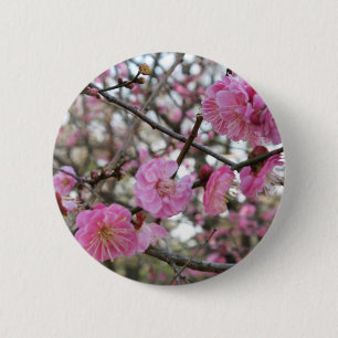Rosa Cherry Blommar / Sakura / サ ク ラ(桜) Knapp