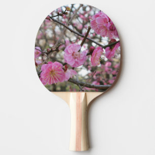 Rosa Cherry Blommar / Sakura / サ ク ラ(桜) Pingisracket