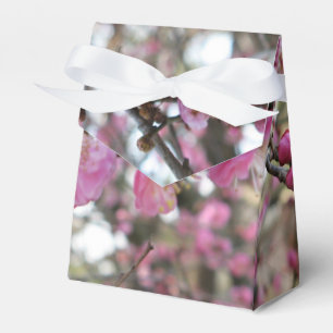 Rosa Cherry Blommar / Sakura / サ ク ラ(桜) Presentaskar