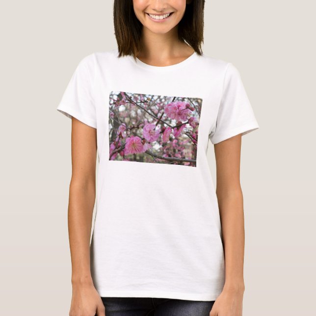 Rosa Cherry Blommar / Sakura / サ ク ラ(桜) T Shirt (Framsida)