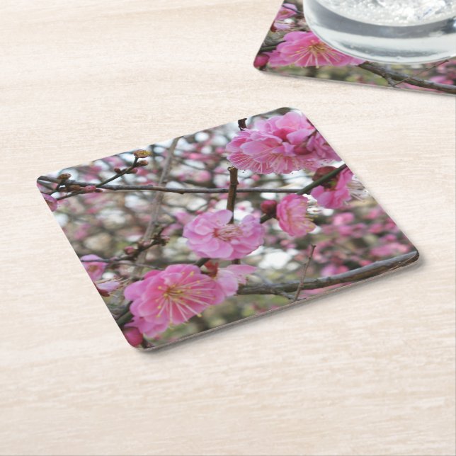 Rosa Cherry Blommar / Sakura / サ ク ラ(桜) Underlägg Papper Kvadrat (Vinklad)