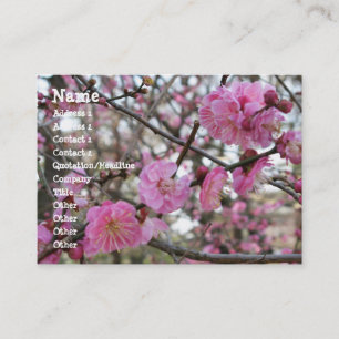 Rosa Cherry Blommar / Sakura / サ ク ラ(桜) Visitkort