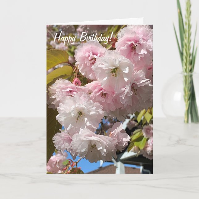 Rosa Cherry Blommars födelsedagskort Kort (Framsida)