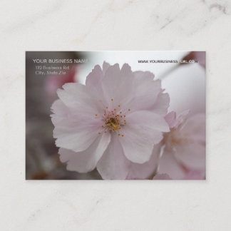 Rosa Cherry Blommars Visitkort
