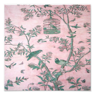 Rosa Chinoiserie Fototryck