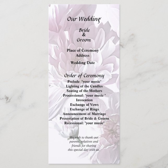 Rosa Chrysanthemum Heart Program (Framsida)