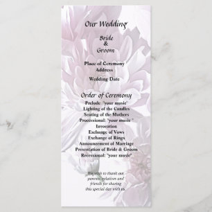 Rosa Chrysanthemum Heart Program