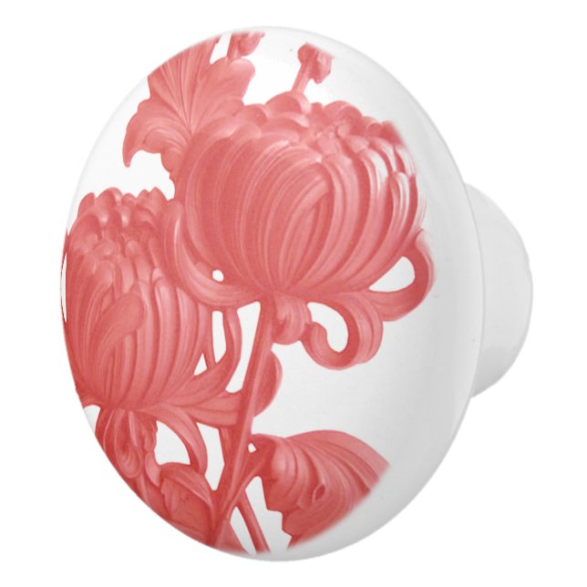 Rosa Chrysanthemum Knopp (Höger)