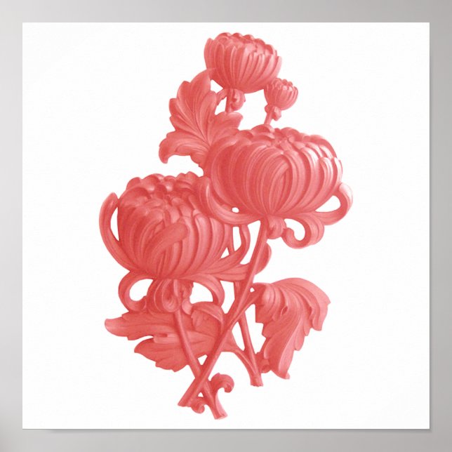 Rosa Chrysanthemum Poster (Framsidan)