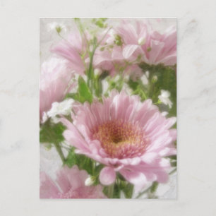 Rosa Chrysanthemums 5 Elegance Vykort