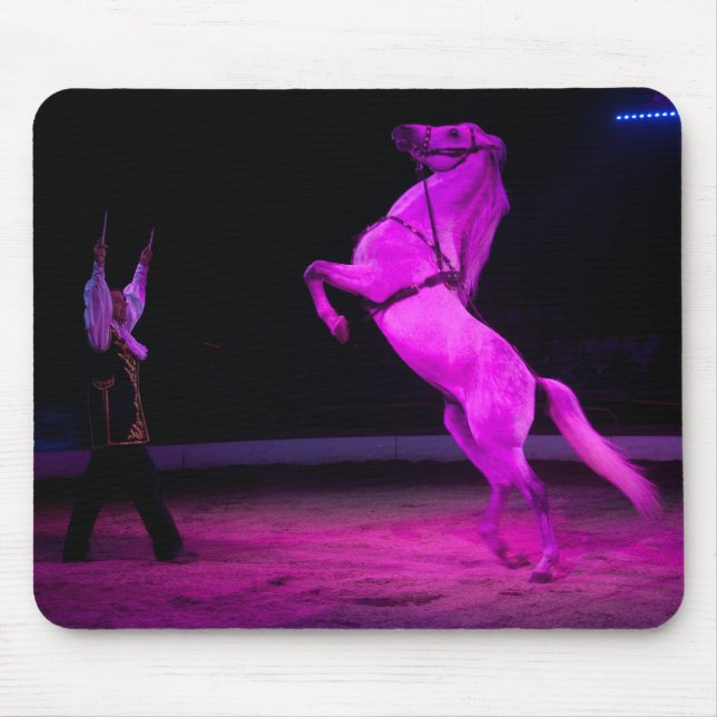 Rosa Circus Horse Musmatta (Framsidan)