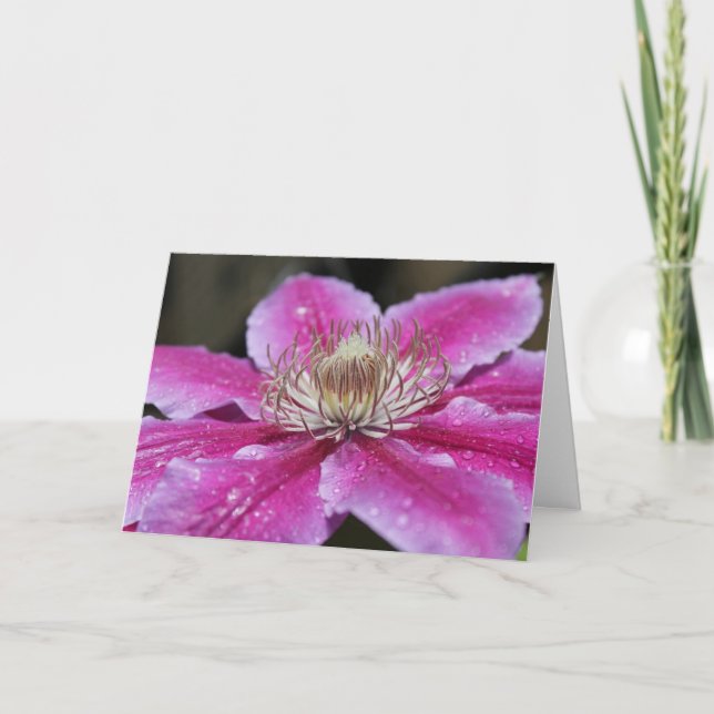 Rosa Clematis Flower Notecard Kort (Framsida)