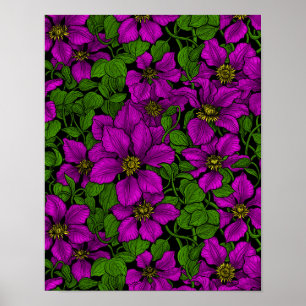 Rosa Clematis vine Poster