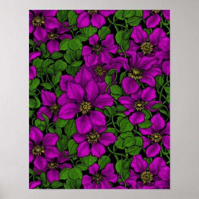 Rosa Clematis vine Poster (Framsidan)