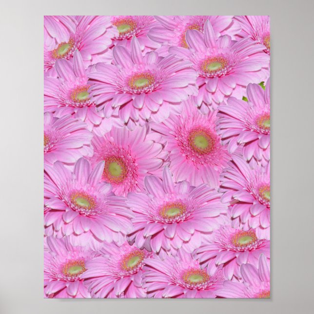 Rosa Cluster of Gerbera Flower Poster (Framsidan)