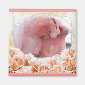 Rosa Cockatoos Magnet