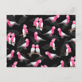 Rosa cockatoos (mönster) vykort