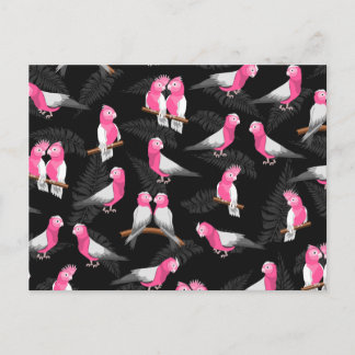 Rosa cockatoos (mönster) vykort