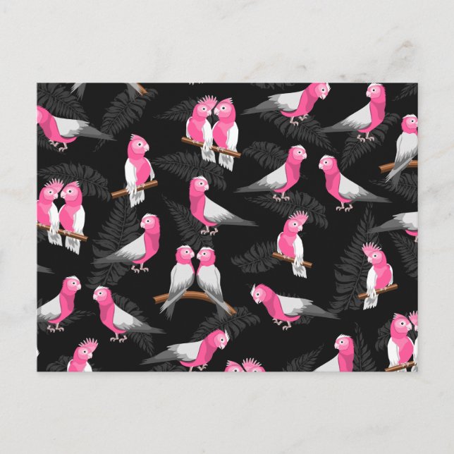 Rosa cockatoos (mönster) vykort (Framsida)