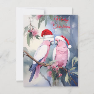 Rosa Cockatoos Santa Hat God jul Vykort