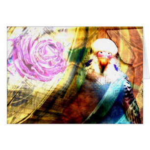 Rosa collage för parakiter - kort