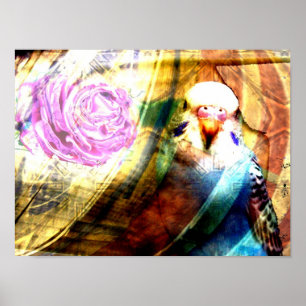 Rosa collagetryck för parakiter poster