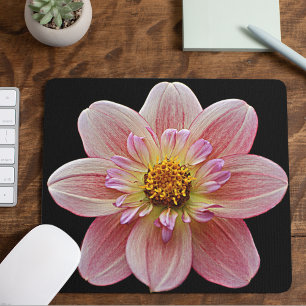 Rosa Collarette Dahlia på Black Blommigt Musmatta