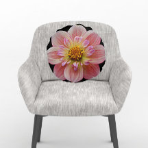 Rosa Collarette Dahlia på Black Blommigt